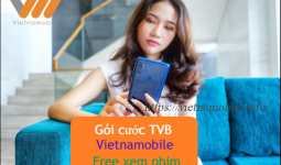 dang-ky-goi-tvb-vietnamobile