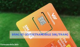 goi-cuoc-vietnamobile-50k-thang-1