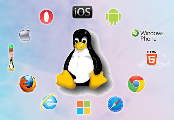 Hệ điều hành Linux hỗ trợ nhiều ứng dụng khác nhau với chi phí thấp