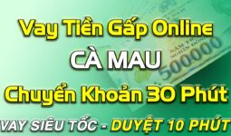 vay tiền online chuyển khoản ngay CÀ MAU