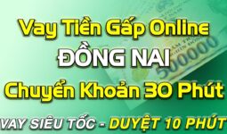 vay tiền online chuyển khoản ngay ĐỒNG NAI