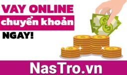 vay tiền online chuyển khoản ngay tại TPHCM