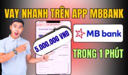 vay tiền online chuyển khoản ngay YÊN BÁI